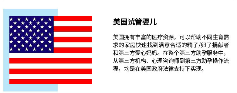 美国试管婴儿